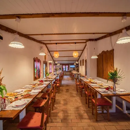 Domacinstvo Cikic Country house Zasavica