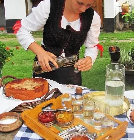 Domacinstvo Cikic